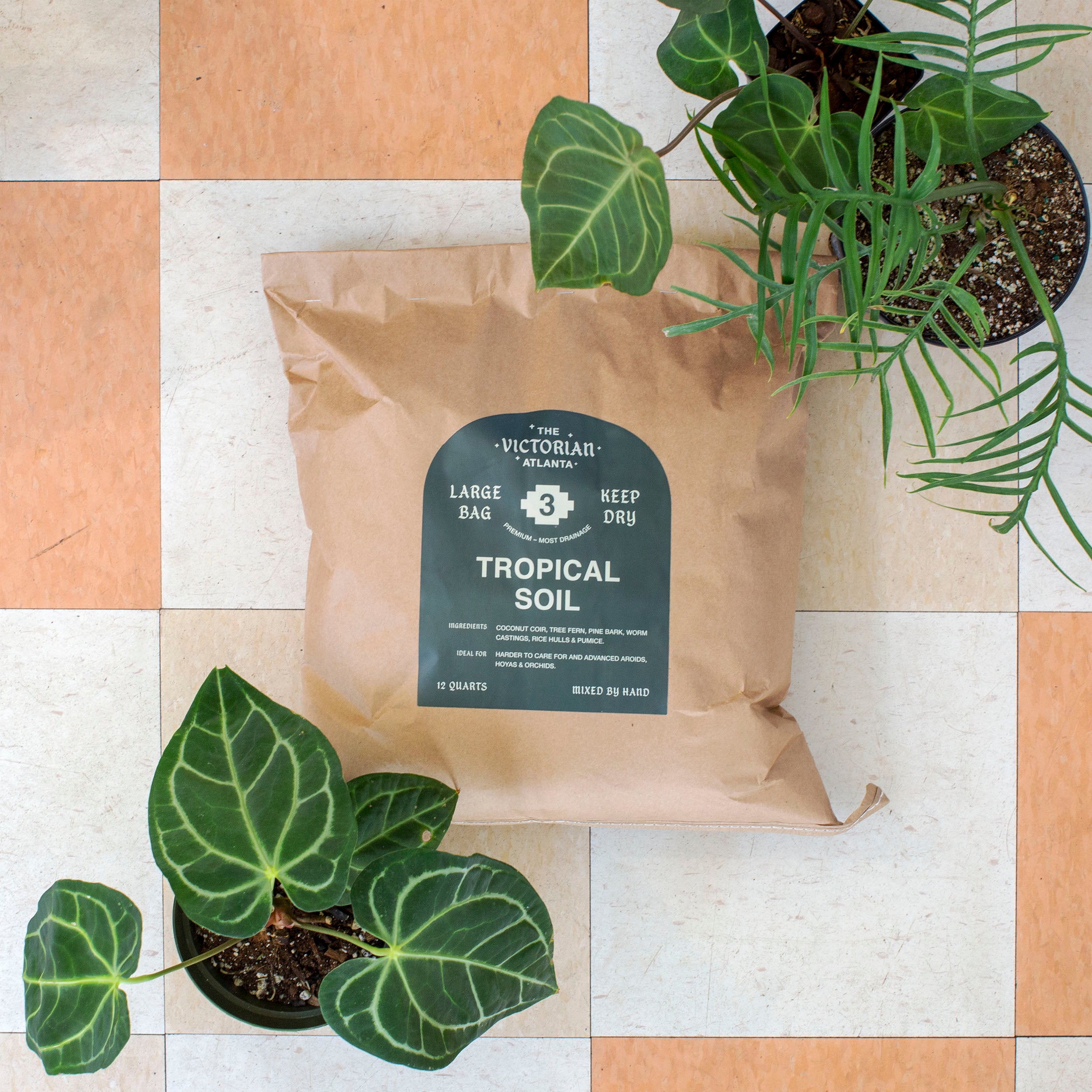 Soil - Tropical 3 – The Victorian Atlanta