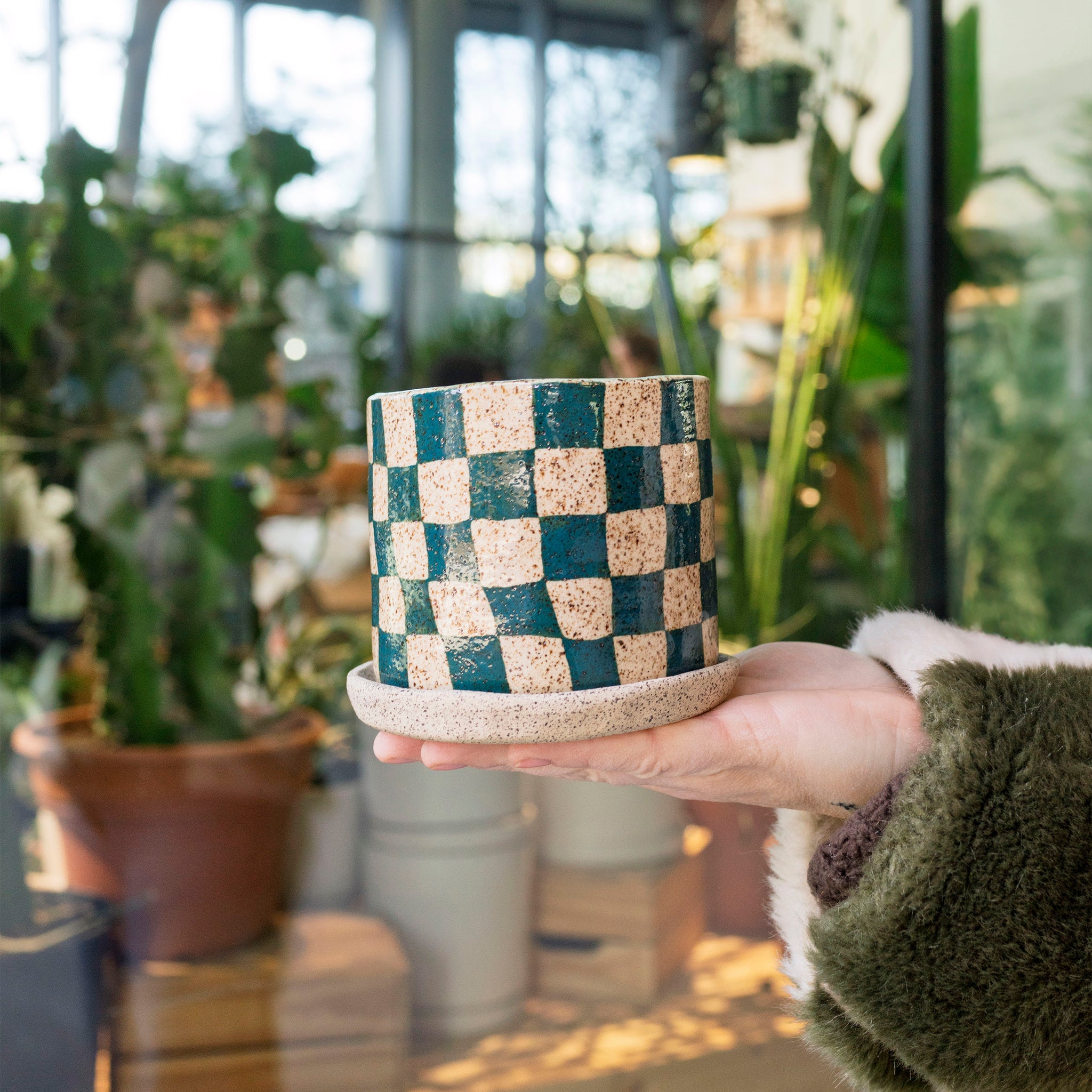 Alice Serres - Green Checker