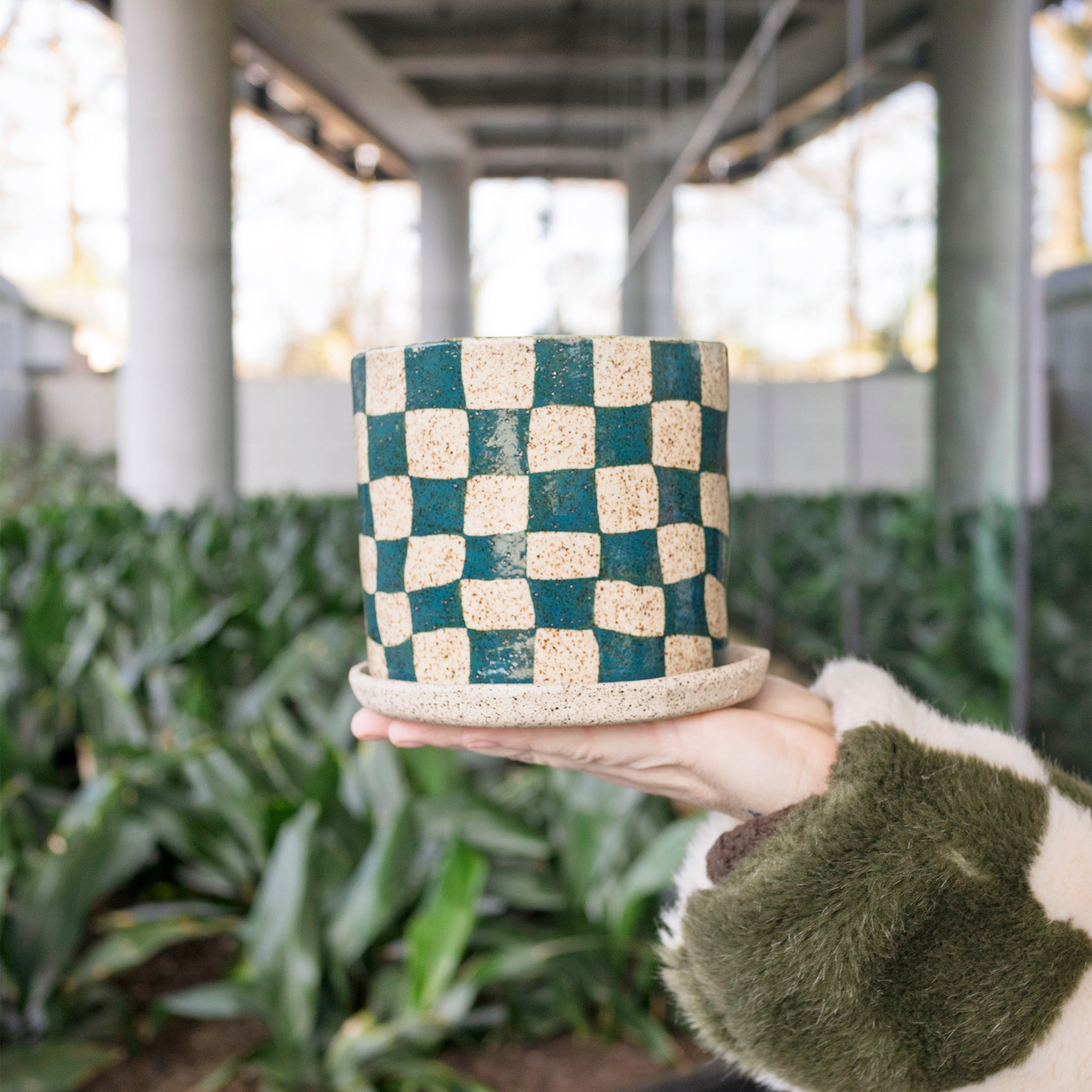 Alice Serres - Green Checker