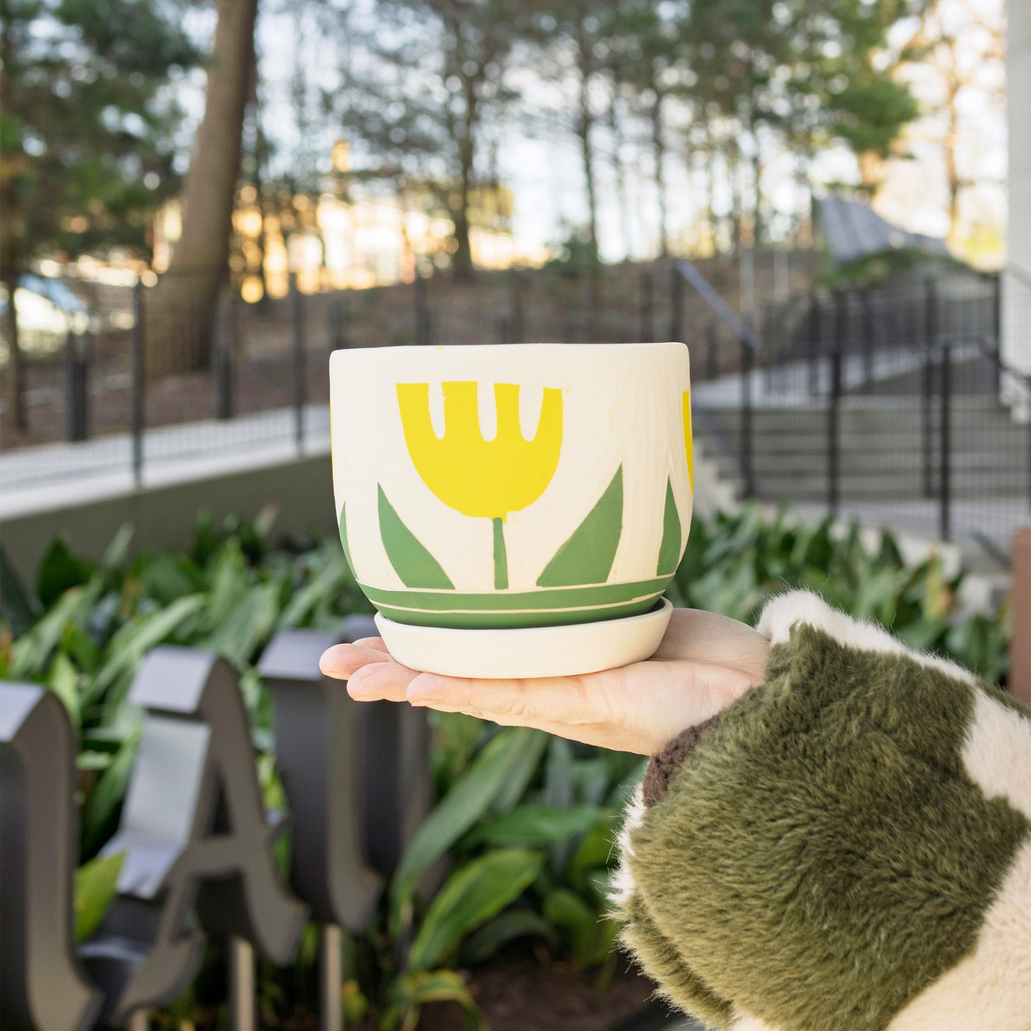 Niko Far West - Yellow Flower Planter w/ Tray