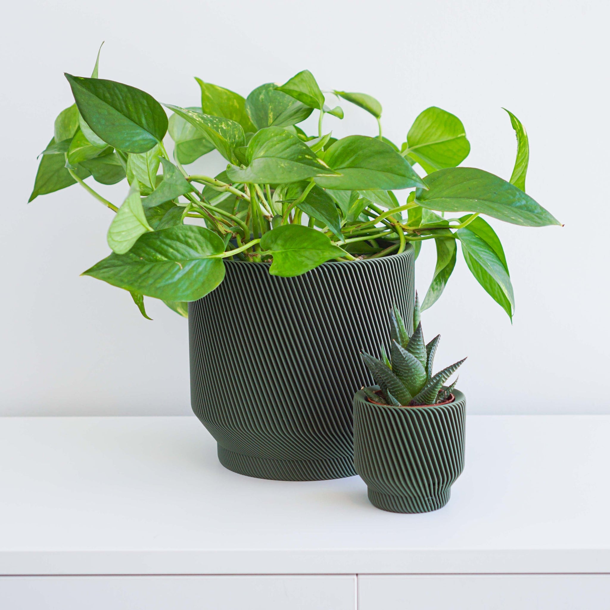 Conifer Homewares - Spruce Planter