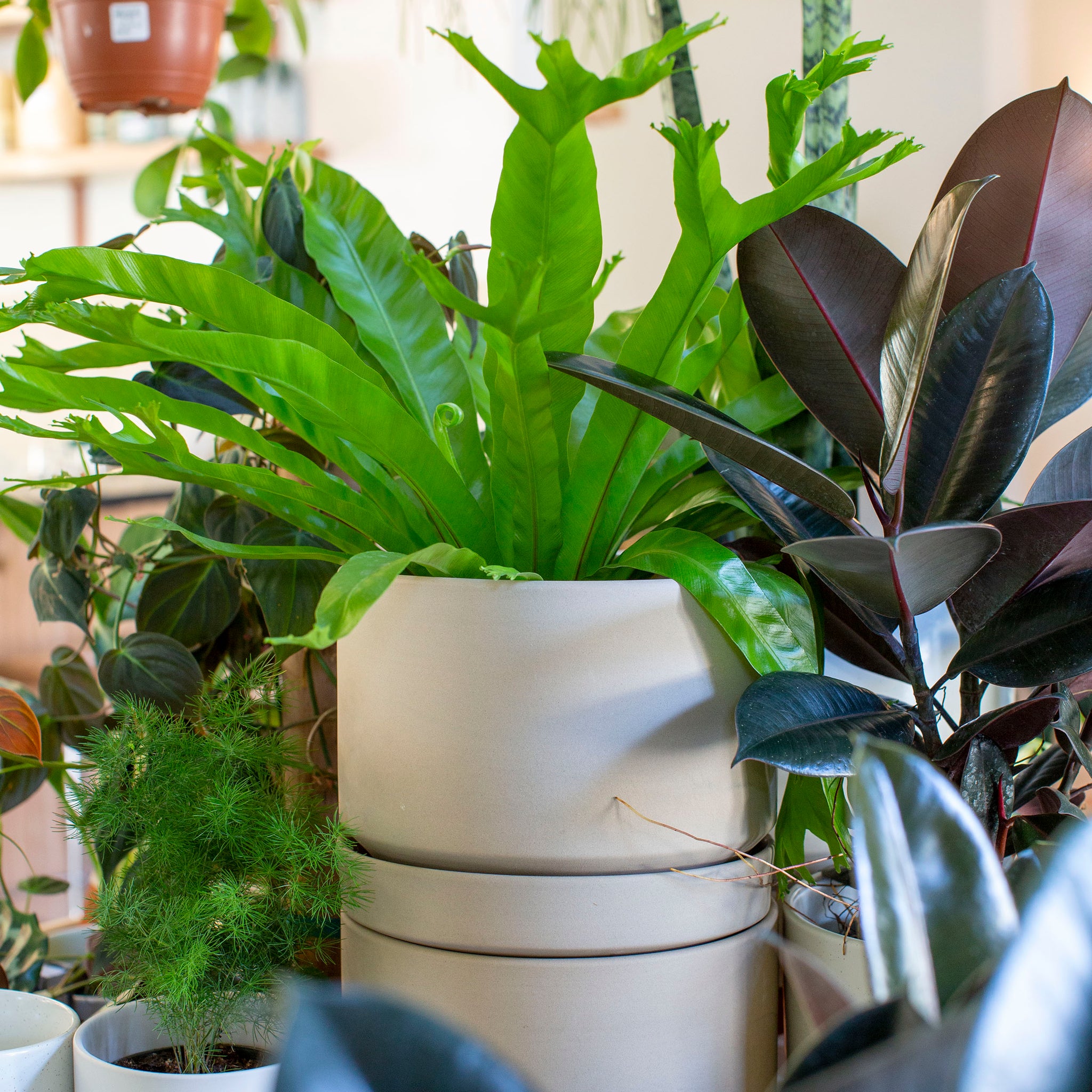 Revival Ceramics - Round Two Planter