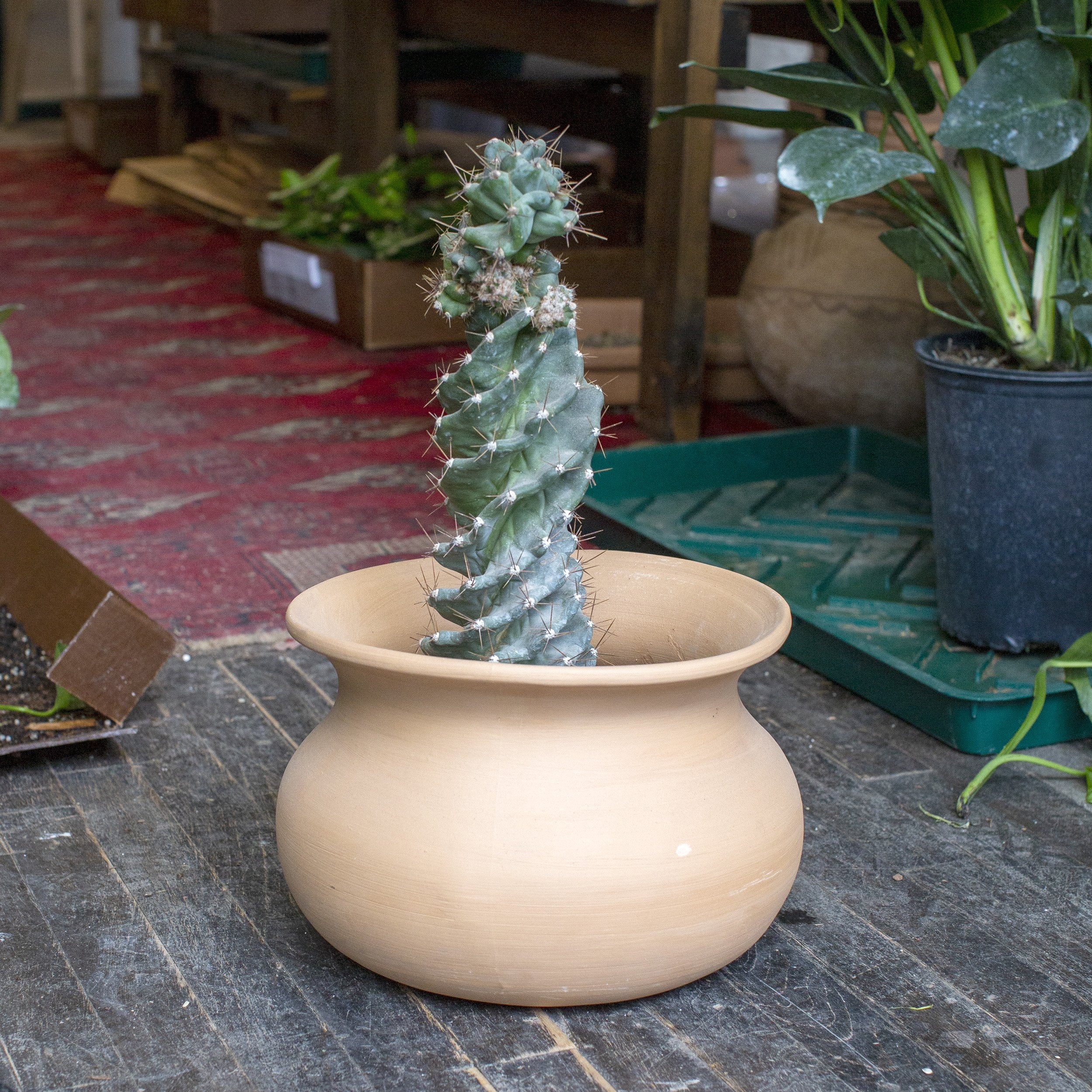 wash pot planter Wash Pot