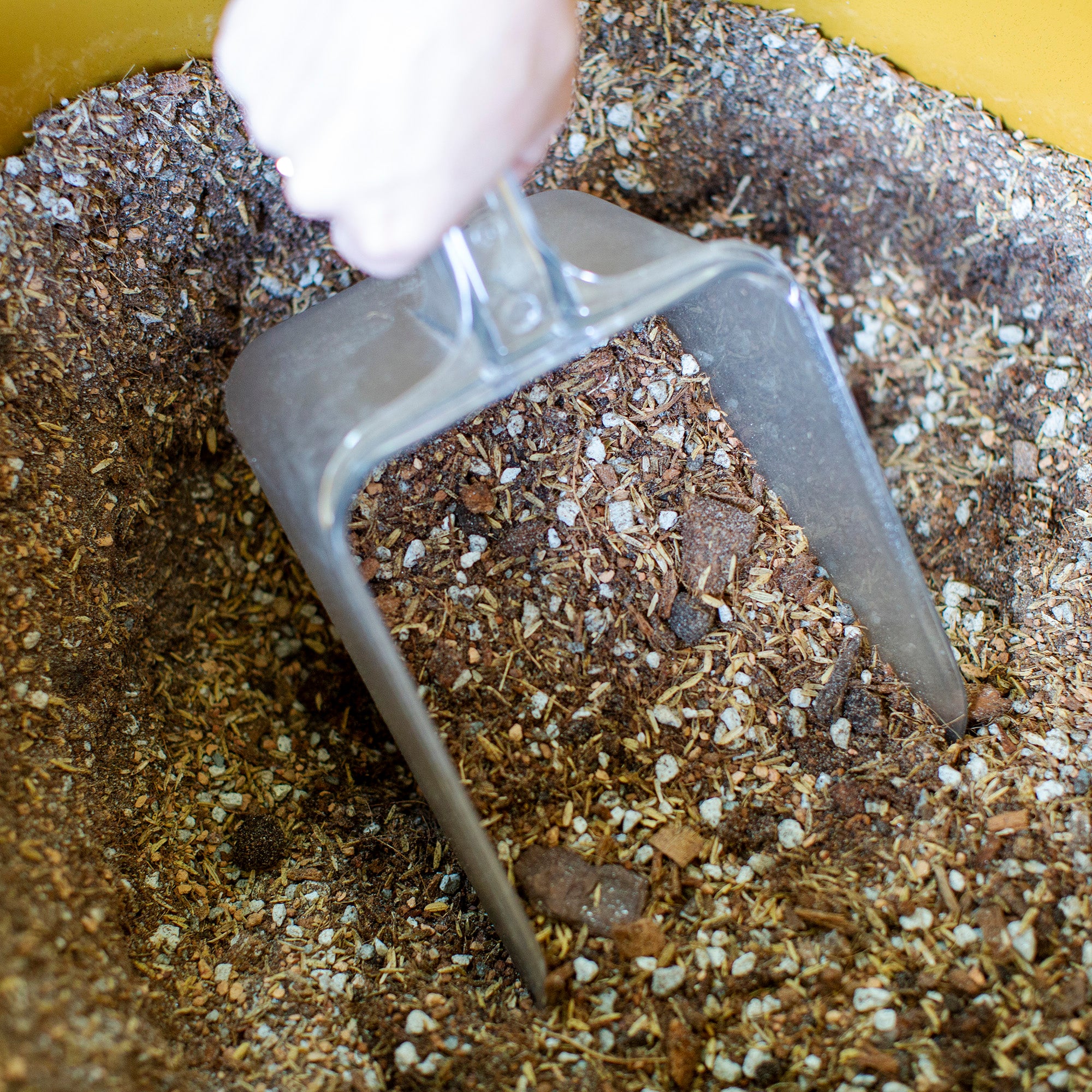 tractor supply succulent soil Soil