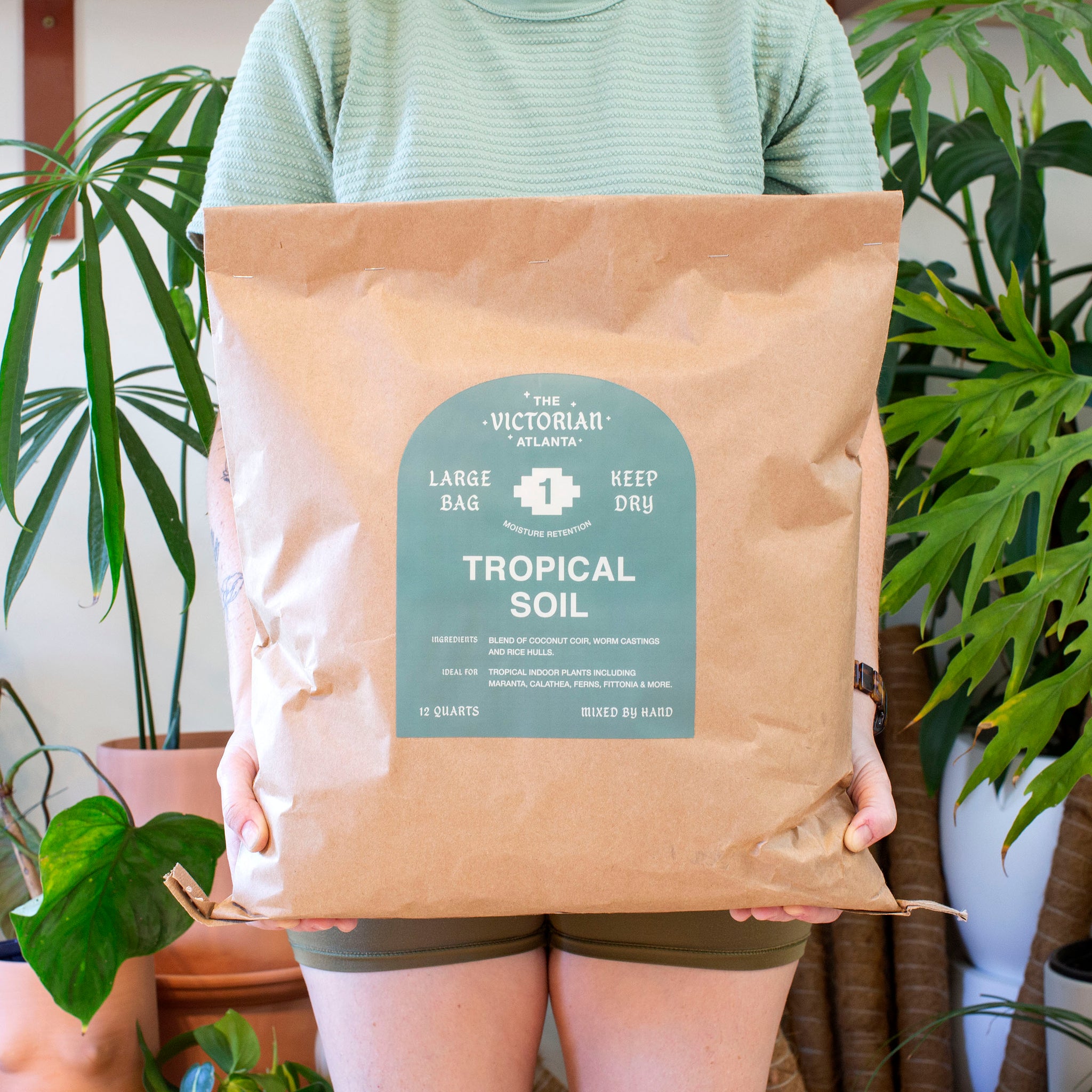 best soil for tropical house plants Soil