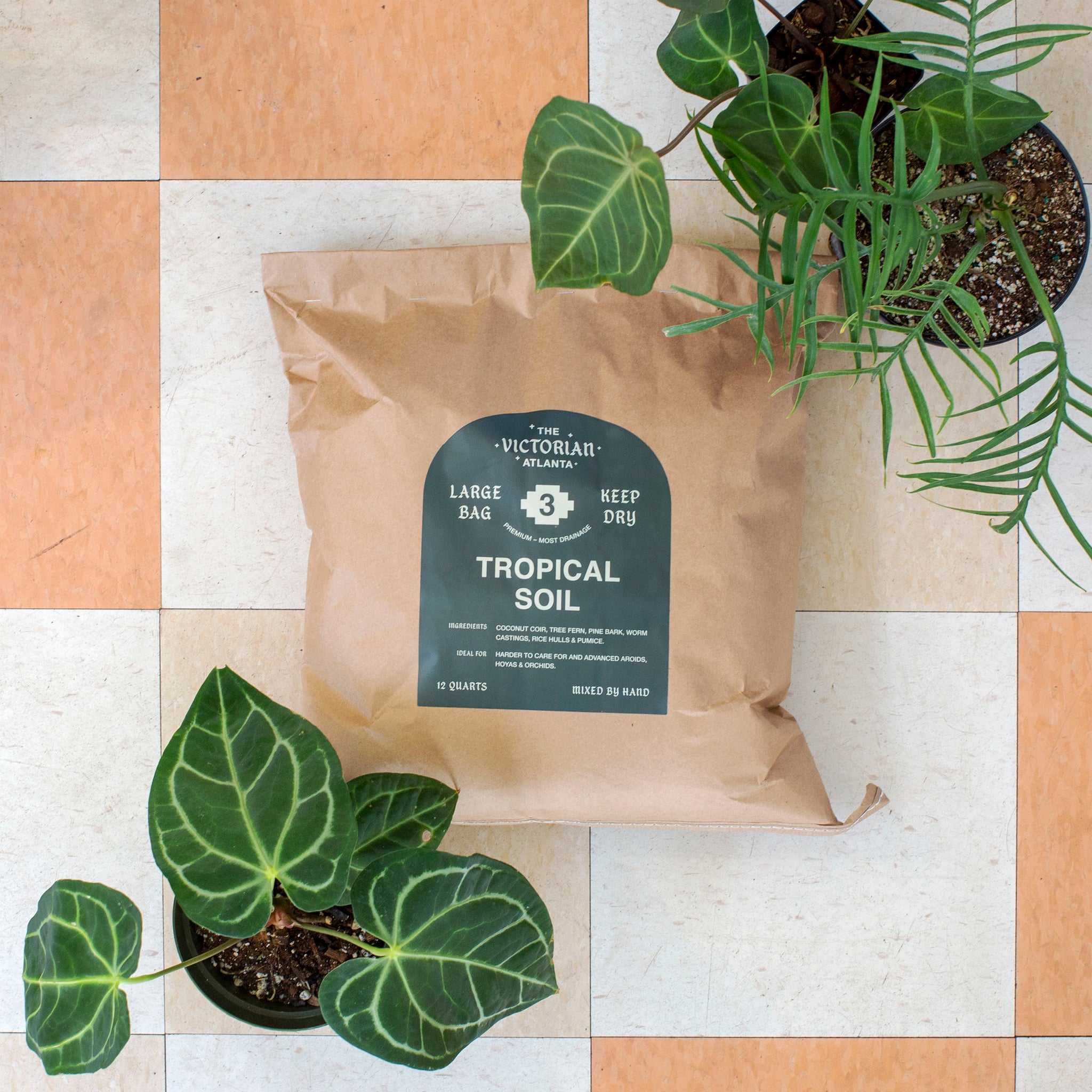 6 qt. tropical potting soil mix Soil